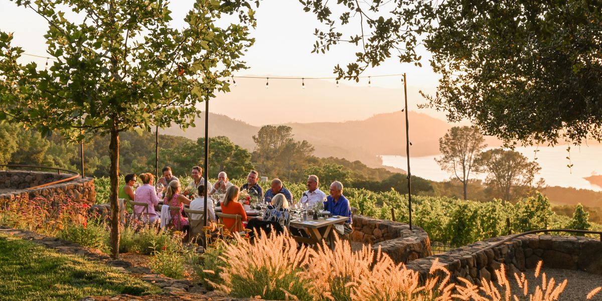 Friday - Chappellet Vineyard - 2024 Summer Offering