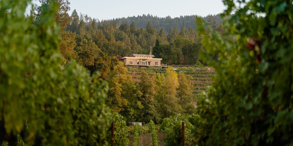 Friday - Diamond Creek Vineyards - 2024 Summer Offering